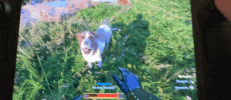 VideoToGif_GIF.gif