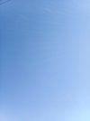 1756447168345..jpg