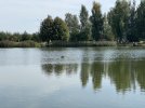 IMG_4765.jpeg