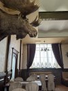 IMG_4823.jpeg
