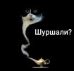 IMG_20250901_130916_559.jpg