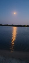 20250901_193753.jpg