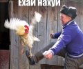 IMG_0392.jpeg