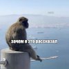 IMG_0403.jpeg