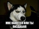 5cdd72deb1c7e371bd3287cc.jpg
