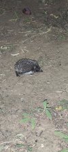 IMG_20250827_200316.jpg