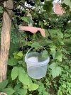 IMG_8401.jpeg