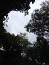 20250919_105111.jpg