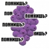 3.webp