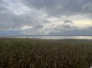 IMG_4277.jpeg
