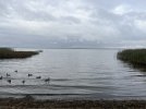 IMG_4267.jpeg