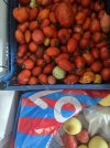 IMG_6926.jpeg