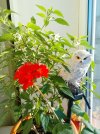 IMG_20251001_072438.jpg