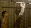 IMG_6186.gif