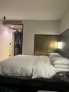 IMG_2040.jpeg