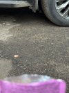IMG_6241.jpeg