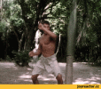 IMG_6266.gif