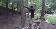 IMG_6270.gif