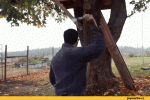 IMG_6271.gif