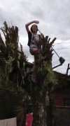 IMG_6272.gif