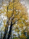 IMG_20251011_145953~2.jpg