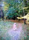 IMG_20251011_152132~3.jpg