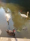 IMG_20250724_170129_966.jpg