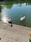 IMG_20250724_164138_504.jpg