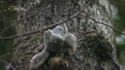 IMG_6325.gif
