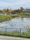 IMG_6966.jpeg