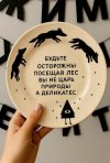aXrYgOZp2KQ.jpg