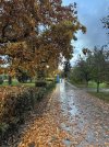 IMG_6381.jpeg