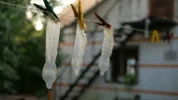 IMG_2096.webp