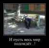 IMG_6472.webp
