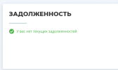 2025-10-19 17_44_02-Главная страница _ Личный кабинет «ТГК-1» для физических лиц.png