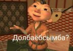 IMG_0781.jpeg
