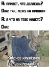IMG_4276.jpeg