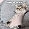 IMG_7015.jpeg