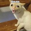 IMG_0813.jpeg
