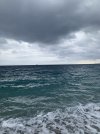IMG_0556.jpeg
