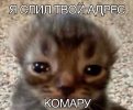 IMG_4541.jpeg