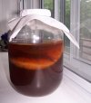 Kombucha_jar.jpg