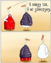 IMG_4585.jpeg