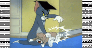IMG_6812.gif IMG_6812.gif