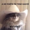 IMG_4603.jpeg