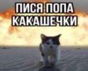 IMG_4758.jpeg