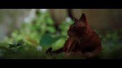 IMG_5993.jpeg