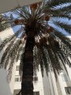 IMG_1881.jpeg