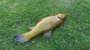 20230607_154039.jpg 20230607_154039.jpg