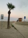 IMG_2044.jpeg